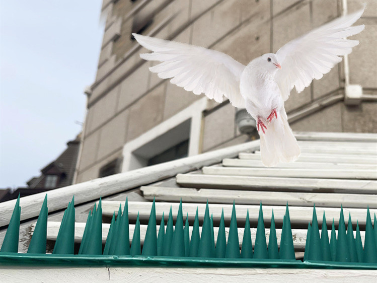 Plastic Fence Wall Anti Climb Bird Deterrent Spikes Use Design On Rooftops Fence