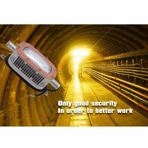 Wholesale CREE 30 Watt LED Explosion Proof Light 6500K Cold White For Offshore Oil Plant from china suppliers