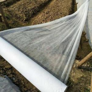 Wholesale Recyclable Agriculture Non Woven Fabric 170cm Non Woven Polypropylene Roll Breathable from china suppliers