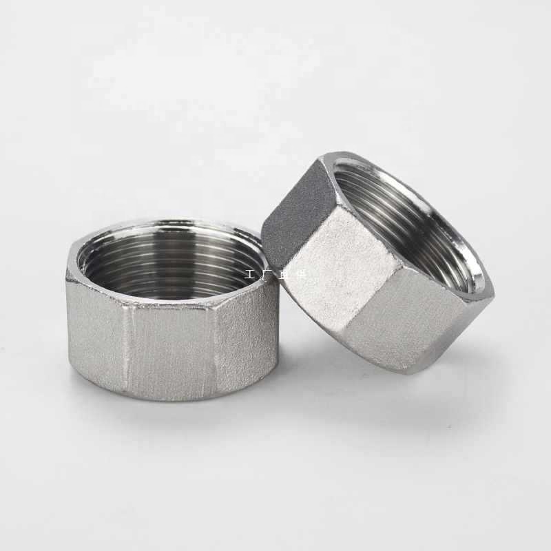Thread Type NPT BSP BSPT NXF 2205/2507 Duplex Stainless Steel 314/306 Pipe Fitting Screwed Hex Cap NPT/BSP Threaded Cast Technics