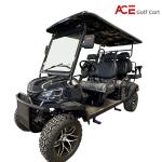 Lithium Battery Motorized Sightseeing Vehicle Emergency Braking For Comfortable