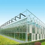 Large Venlo Glass Greenhouse Perfect Fit For Plant Growth Needs