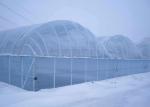 8m Tunnel 150 Micron 200 Micron Plastic Film Greenhouse