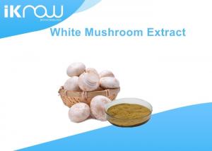 Wholesale Double Spore Agaricus Bisporus Powder / White Button Mushroom Extract from china suppliers