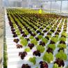 Buy cheap 100% Virgin Pvc Pipe Large Plastic Greenhouse Elliptical Shape Hydroponic Nft from wholesalers