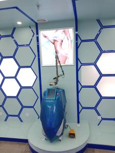 Wholesale PICOSURE Nd:YAG laser for tattoo removal, Ota removal machine from china suppliers