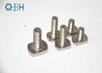 Non-standard metric T bolt, stainless steel T bolt 304 316 A2-70 A2-80 A4-70 A4