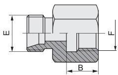Manufacturer Metric Female / Bsp Female Carbon/Stainless Steel Hydraulic Tube Fittings 5cm 5CB