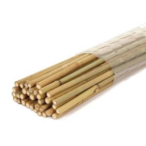 Wholesale Eco-Friendly Bamboo Poles Toamto Beans Potted Plants for Indoor and Outdoor Plants from china suppliers