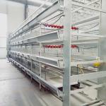 Automatic Broiler Battery Cage System For Animal Poultry Husbandry Livestock
