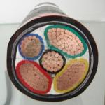 0.6/1KV Copper core PVC insulated PVC sheathed power cable (YJV22), Explore
