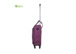 Snowflake 20 Inch Carry On Luggage With Spinner Wheels