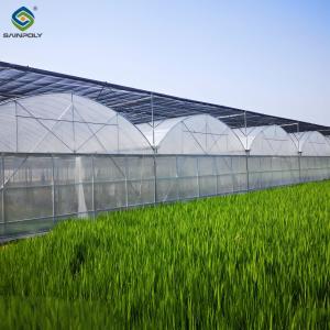Wholesale Heat Resisting Morden Multi Span Greenhouse For Commercial Agriculture from china suppliers