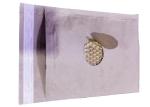 Honeycomb 6"x10" Eco Friendly Padded Mailers 100% Biodegradable
