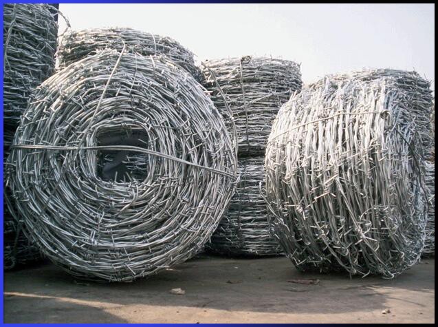 barbed wire