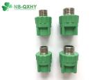 DIN Standard PPR Male Coupling Threaded Plastic Pipe Fitting for Control