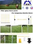 Garden Length 48" Oval Step In Fiberglass Electric Fence Post