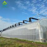 UV Resistant Plastic Sheeting Greenhouse 20-100m Length Mosquito Net Greenhouse