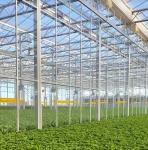 Warm Air Blower/Hot Water Heating Double-Arch Hydroponics Greenhouse for Flower