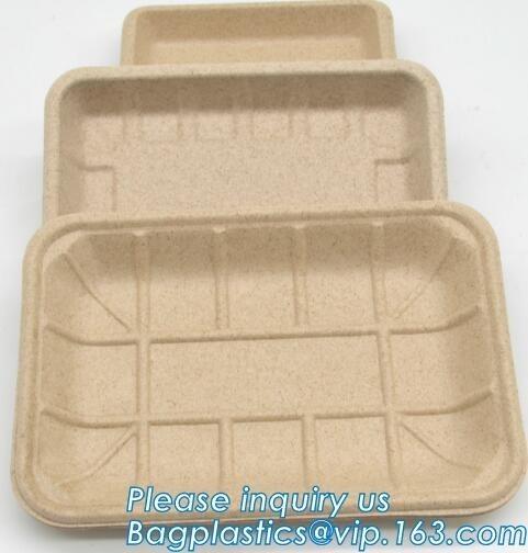 Dishes & Plates Dinnerware Blister packaging Resturant Disposable Food Serving