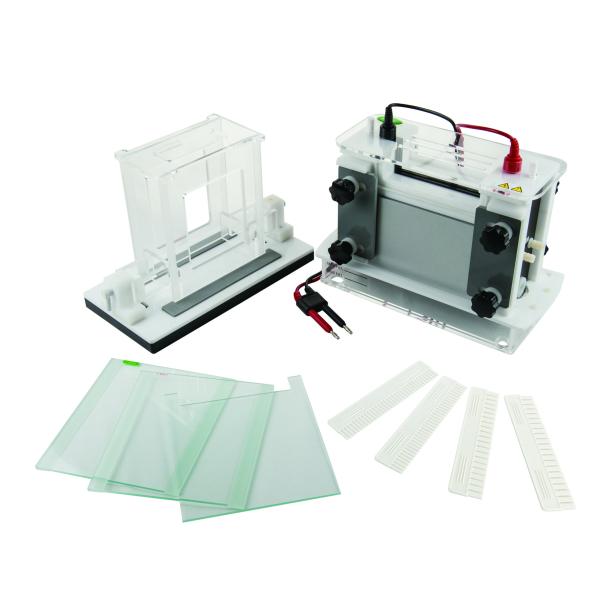 Polyacrylamidel Gel Electrophoresis Equipment Vertical Electrophoresis Tank Jy
