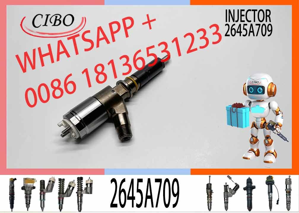 Diesel Engine Fuel Injector 282-0490 2645A709 10R-7673 10R-7676 2645A734 Engine Diesel C6.6 C6.4 C4.2 Injector