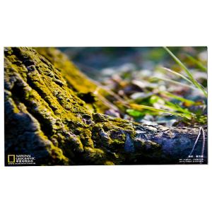 Wholesale LM238WF5-SSG4 23.8 LCD Touch Screen Display from china suppliers
