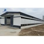 Manual/Electric Film Roll Chicken House Designs for Poultry Animal Husbandry
