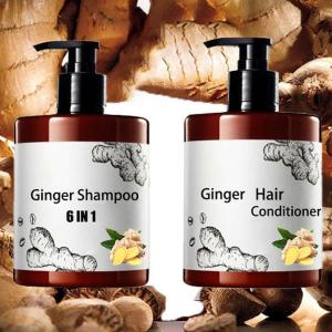 Wholesale All Hair Types Anti-hair Loss Organic Hair Care Set with Ginger Shampoo and Conditioner from china suppliers