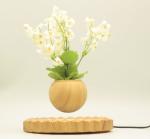 wooden magnetic levitate floating bottom air bonsai pot tree