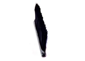 Wholesale Dustproof Window Seal Brush Elevator Safety Strip Brush UD-SP-0820 from china suppliers