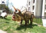 Artificial Triceratops Models Outdoor Dinosaur For Real Estate Decoration