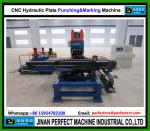 China TOP Supplier CNC Hydraulic Plate Punching Press Tower Manufacturing
