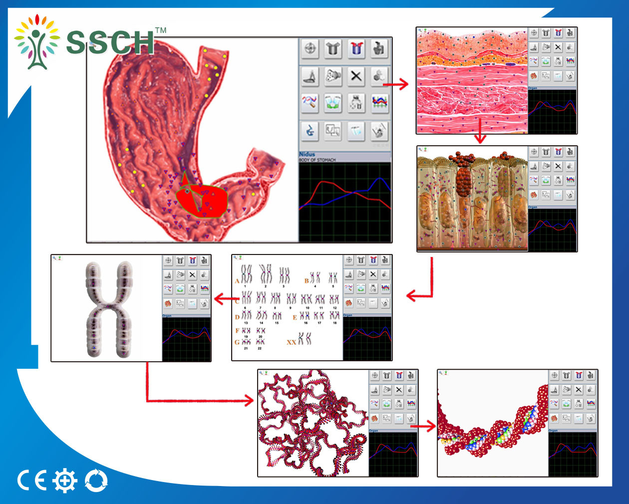 Faster and Stable Metatron nls 4025 hunter version analyzer for Body Health Analyzer