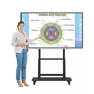 Wholesale 280W Interactive Flat Panel Touch Screen Smart Board 65 Inch from china suppliers