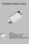 Customized High Speed Coreless DC Motor For Medical Machine/Tattoo Machine