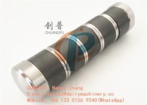 Wholesale Dairy Heifer Rumen Magnet, Cow Magnet absorbing iron in rumen , 19mm diameter from china suppliers