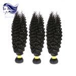 24inch Virgin Cambodian Hair Tangle Free Natural Black Jerry Curly