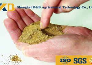 Wholesale Low Phosphorus Content High Protein Fish Meals for Safe Cargo Transport from china suppliers
