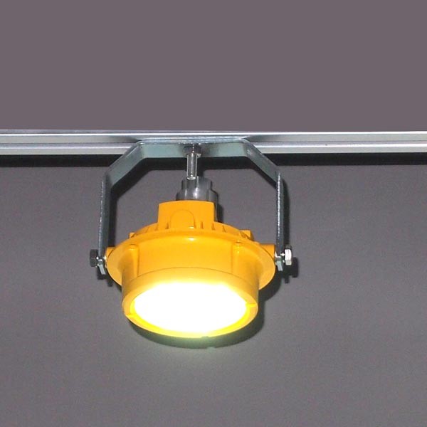 Ex-proof and waterproof 20watt WF2 LED Loading Dock Lights CREE LED marine dock light