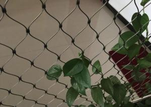 Wholesale Stainless Steel Wire Rope Plant Trellis Systems Climbing Net Customized Size from china suppliers