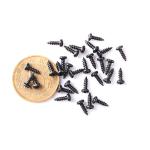 Carbon Steel and Stainless Steel Use for Fastening Wood Customized Service Very