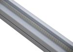 CSP Blackboard RA 95 6500K 2800lm Full Spectrum T8 Bulbs