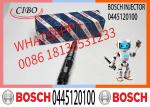 fuel injector diesel engine car excavator 0445120100 0445120219 0445120275