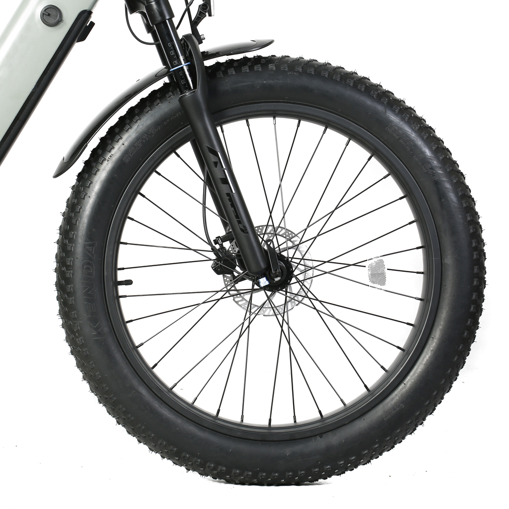 48V 15Ah Fat Tire Electric Bike 26 Inch Tektro HD-E350 Disc Brake Shimano 8 Speed Ebike