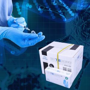 Wholesale Customized Logo Disposable Polyethylene Gloves Polyvinylchloride Vinyl Material from china suppliers