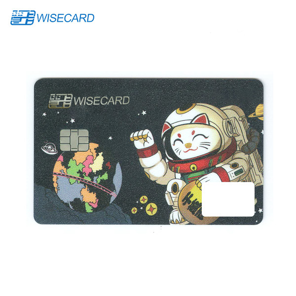 PVC PLA Biometric ID Card CMYK Offset Printing Magnetic Swipe Card