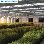 High Quality Commercial Hemp Automated Light Deprivation Blackout Greenhouse