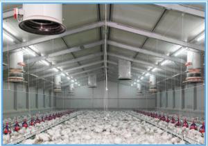Wholesale Baking Varnish Light Steel Prefab House For Broiler House Bolt Connection from china suppliers