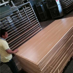 Wholesale Waterproof Solid Color Hardwood Core Melamine Faced Plywood from china suppliers